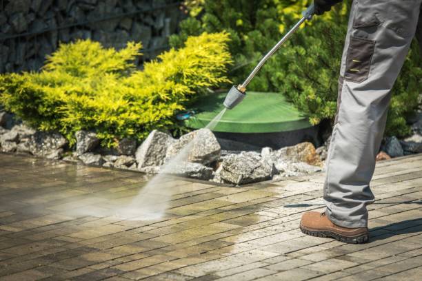 Best Driveway Cleaning and Restoration in Minorca, LA